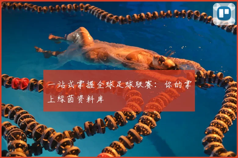 一站式掌握全球足球联赛：你的掌上绿茵资料库