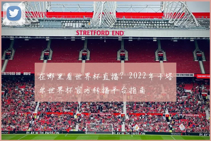 在哪里看世界杯直播？2022年卡塔尔世界杯官方转播平台指南