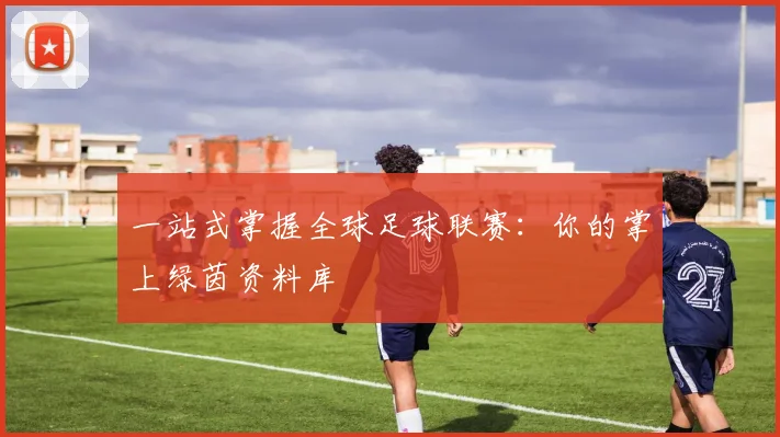 一站式掌握全球足球联赛：你的掌上绿茵资料库
